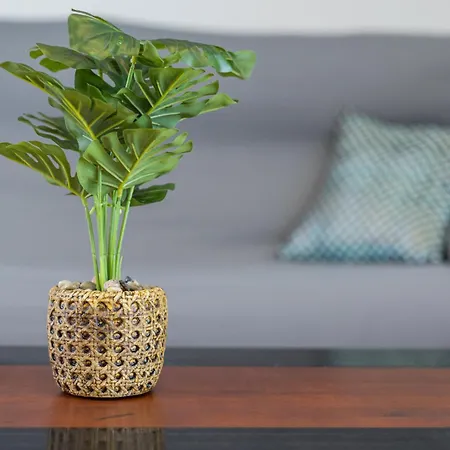 Villa Home2book Bright With Pool, Corralejo