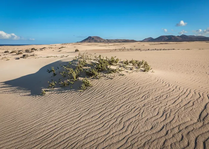 Home2book Bright With Pool, Villa