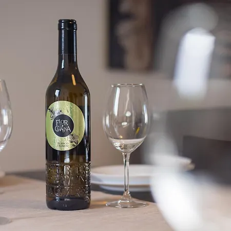 Willa Home2book Bright With Pool, *