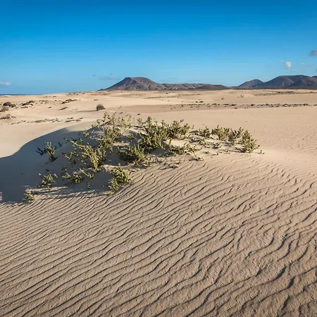 Home2book Bright With Pool, Villa